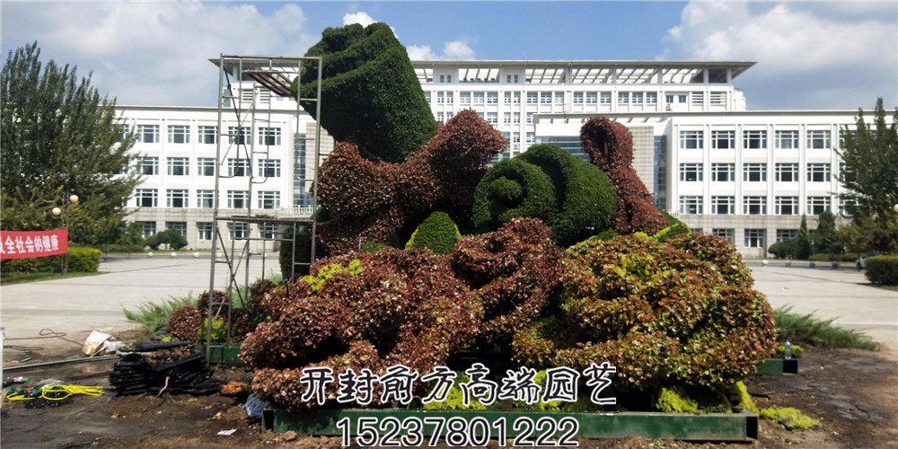 遼寧省交通高等專科學(xué)校五色草造型