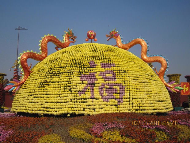 ?開封前方園藝——菊花造型廠家直銷