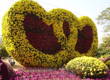?開封前方園藝——菊花造型廠家直銷