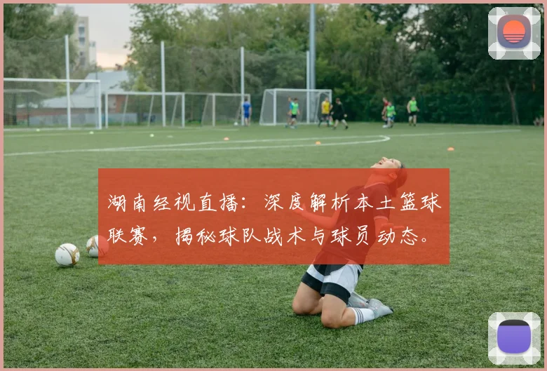 湖南经视直播：深度解析本土篮球联赛，揭秘球队战术与球员动态。